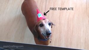 Party Hats for Pets Template for Dogs and Cats